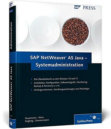 Sap netweaver java - sap,