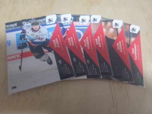 Del eishockey tradingcard - eishockey,