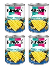 4x Bambussprossen Spitzen 567g Bamboo Shoot Tips in Wasser Wokgemüse Thailand