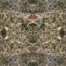 GRAND MAL X Darkness CD