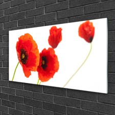 Glasbilder 100x50 Wandbild