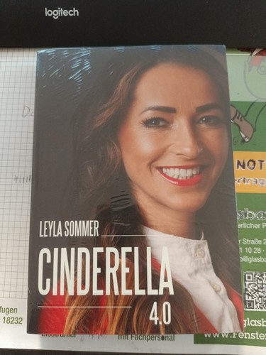 Cinderella vom kurdischen - 4.0:,