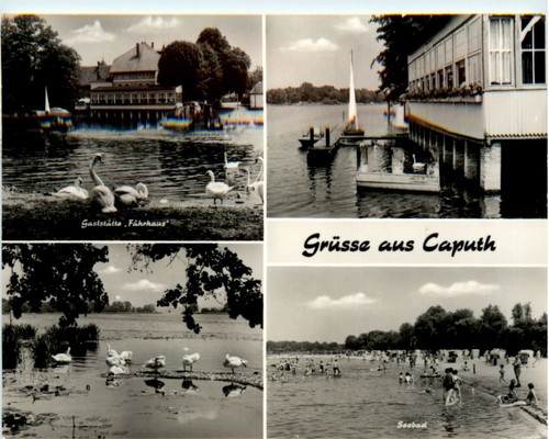 Grüsse aus caputh div - grüsse, caputh,