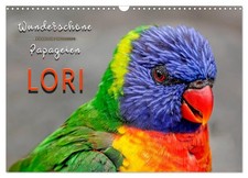 Wunderschöne Papageien - Lori