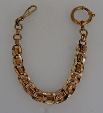 Kurze Schuppenglieder