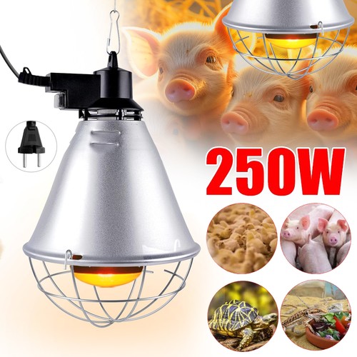 Infrarotbirne rotlichtlampe - infrarotbirne,