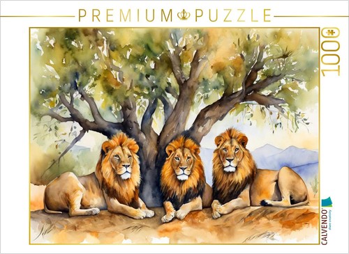 Calvendo puzzle siesta von - calvendo,