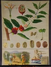 Wandkarte Poster Rollbild