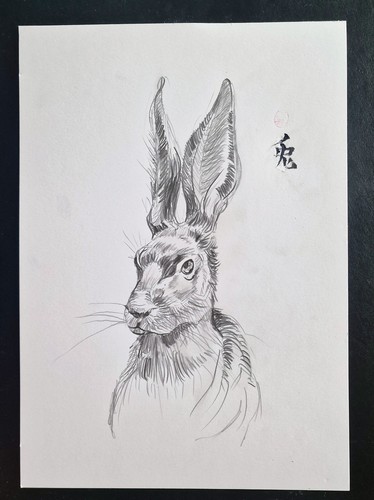 Hase zeichnung signiert - hase,,