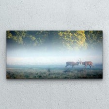 Glasbilder Wandbild Foto Bild