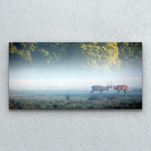 Glasbilder wandbild foto bild - wandbild,