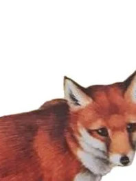 Als die tiere den wald - als,