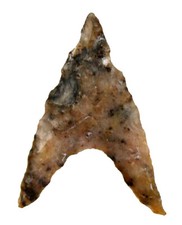 Neolithikum  Ausgezeichnete