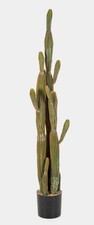 Artplants deko kaktus san - artplants,