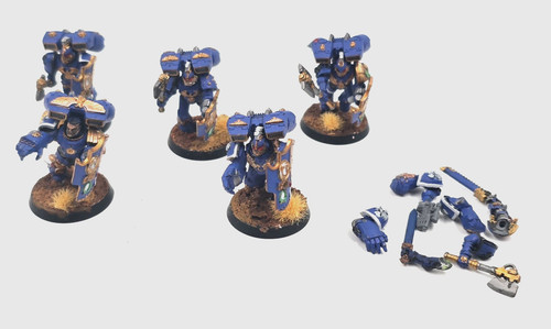 Vanguard veteran squad - veteran,