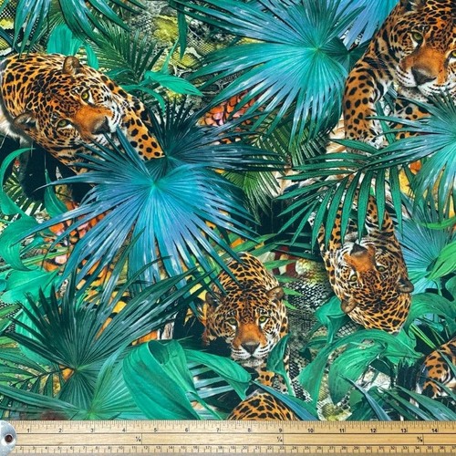 Madagaskar leopard - madagaskar,