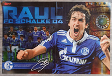 Raul FC Schalke 04/ Mesut