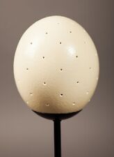 Straußenei als Ersatz für Lampe, Straussenei ca.70 Löcher