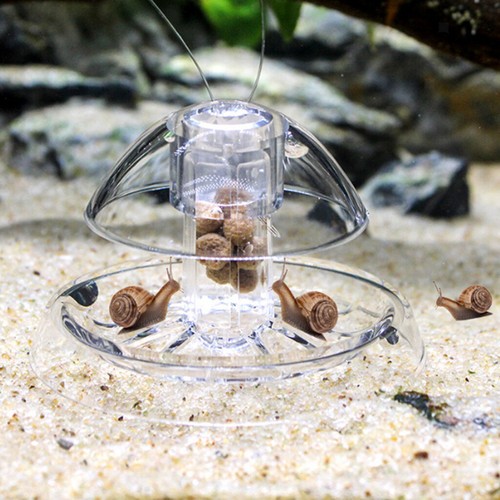 Aquarium pflanzentank - aquarium,