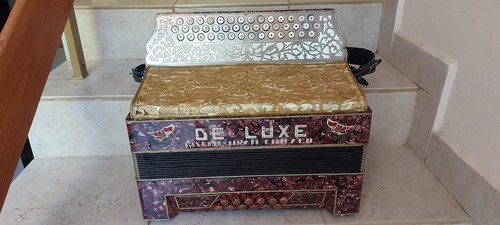 Heligonka/accordion/steirische