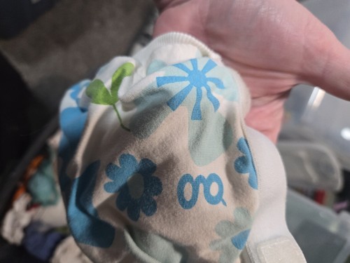 Gdiapers reusable cloth - gdiapers, diaper