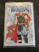 Thor - Die Leiden des jungen Donnergottes - Marvel Comic DC SC DE D10