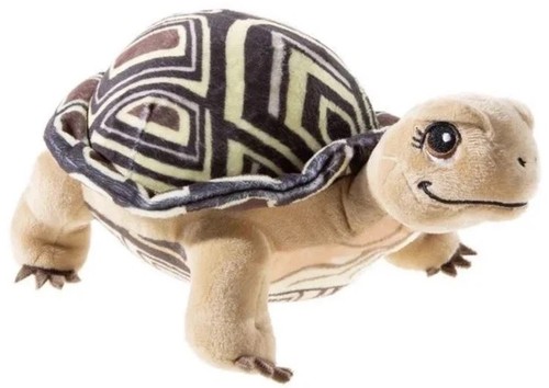 Heunec 620278 schildkröte - -,