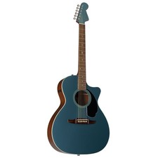 Fender Newporter Player WN
