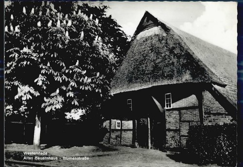 26655 w2910 westerstede - 26655,