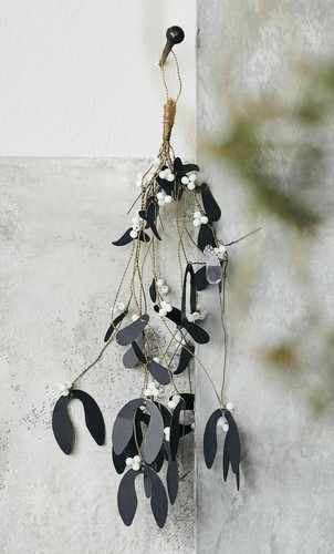 House doctor mistletoe - doctor,
