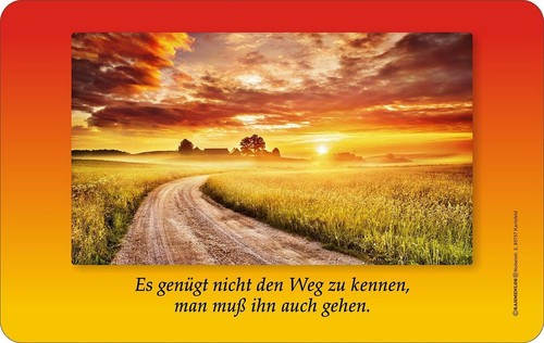 Brettchen genügt nicht den - brettchen,