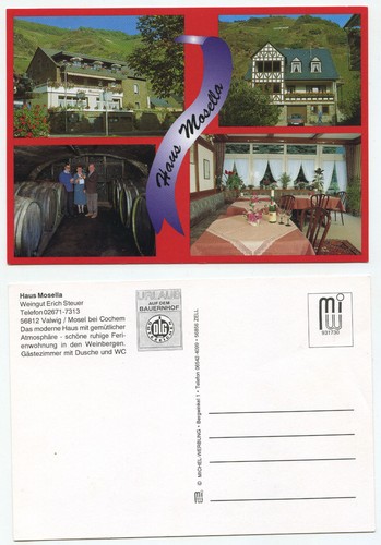 17677 haus mosella valwig - haus,