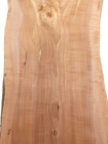 Apfelbaum holz für epoxid - apfelbaum,