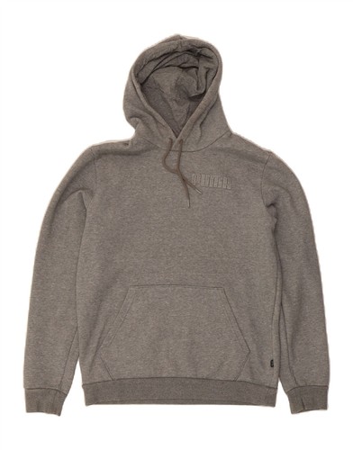 Puma herren graphic hoodie - puma,
