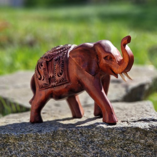 Budawi elefant aus suar holz - suar,