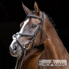 mexikanisches Reithalfter Trensenzaum Cancun mit Zügel, Zaumzeug, 3 Größen