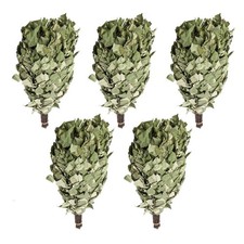 Reisig, Saunabesen,  Birke