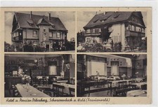 39050659 - Schwarzenbach a