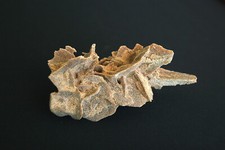 Wüstenrose oder Sandrose aus der Sahara, Marokko