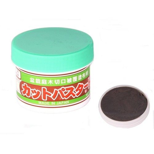 Bonsai wundpaste aus - bonsai,