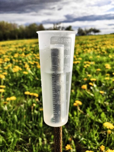 Regenmesser frostsicher - ,