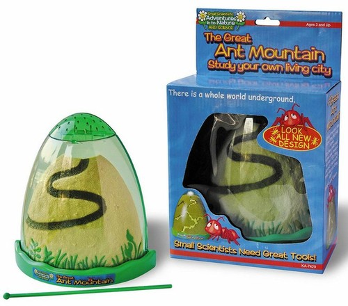 Great ant mountain - mountain,