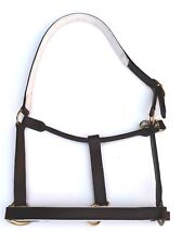 Halfter Lederhalfter Stallhalfter schwarz Leder neu Warmblut