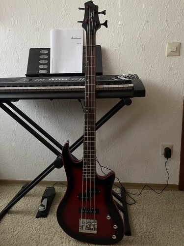 Roter bass string - roter,