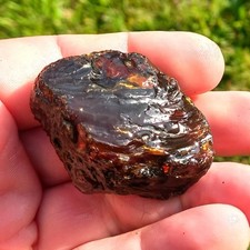 Bernstein Rohbernstein 22