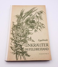 Unkräuter im Feldbestand 