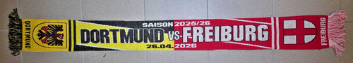 Borussia dortmund sc - borussia,