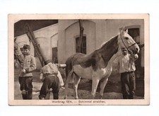 Ak Weltkrieg 1914 Schimmel streichen