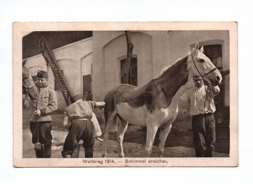 Weltkrieg 1914 schimmel - ak,