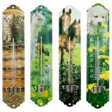 Zimmerthermometer Thermometer